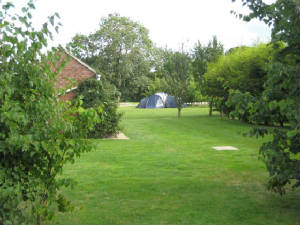 A tent on the mown grass, seen between the trees, with a red brick building on the left