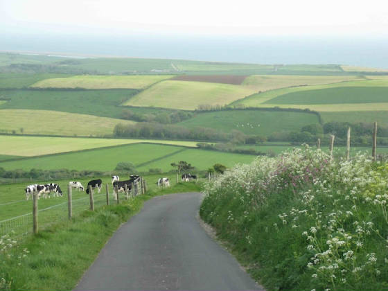 The hills above Chesil Beach near Abbotsbury, Dorset