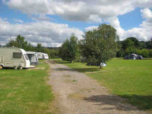 Caravans and tents either side of the gravel track through the field