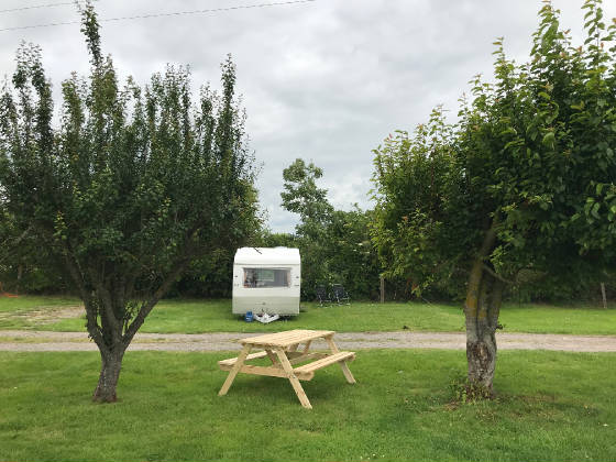A touring caravan and a picnic bench on the lawn between two trees